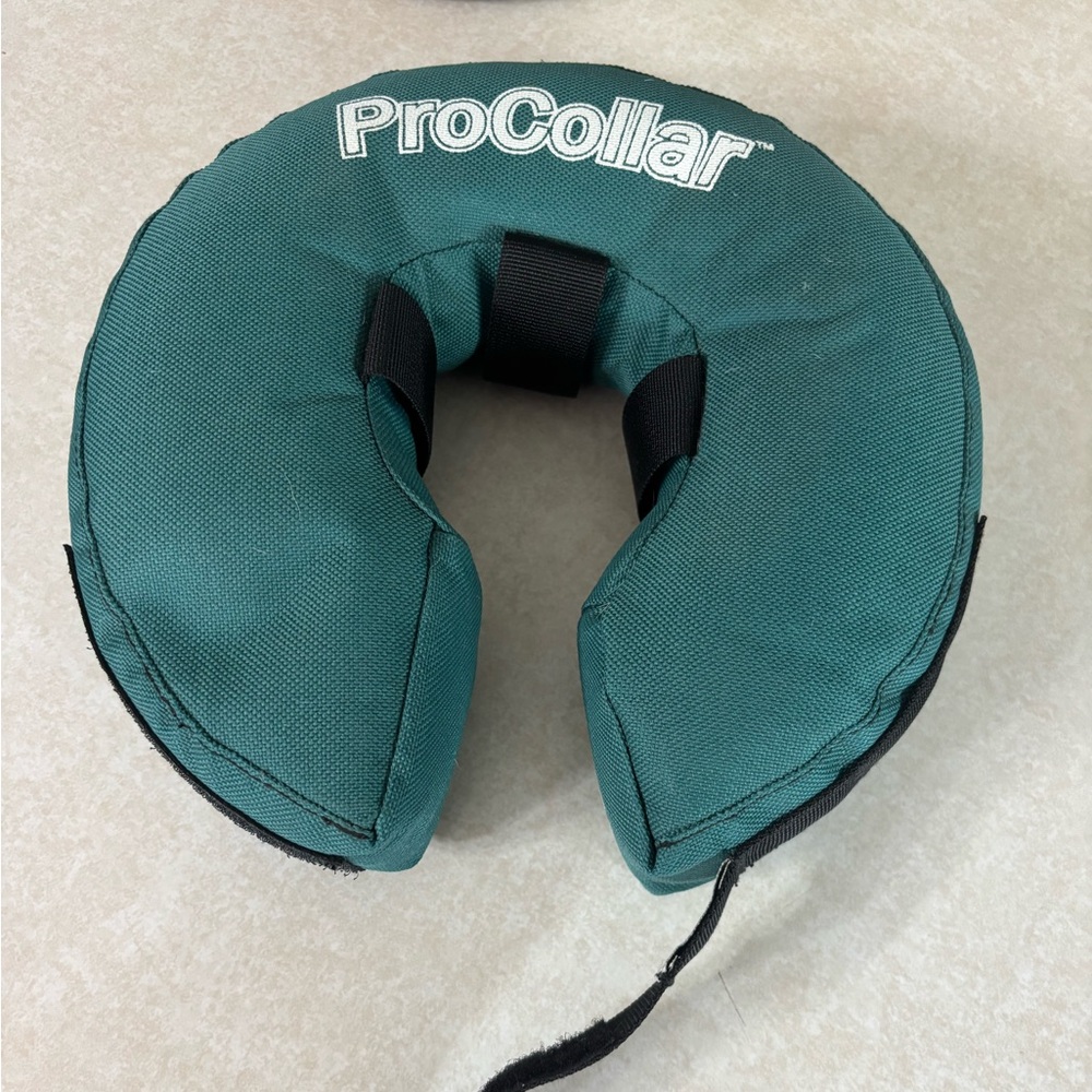 Surgical dog collar